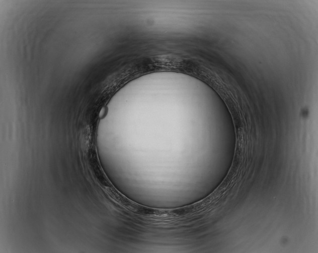 X0000100850752200806200802