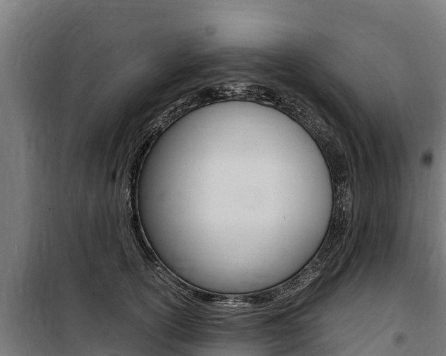 X0000100850754200806200802