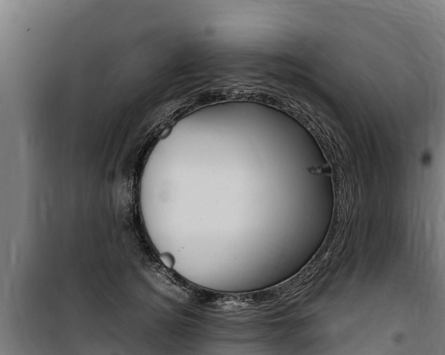 X0000100850756200806200802