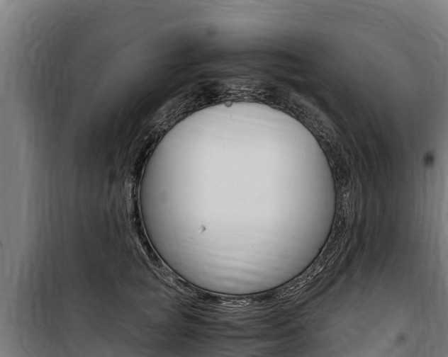 X0000100850757200806200802