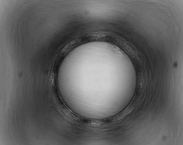 X0000100850758200806200802