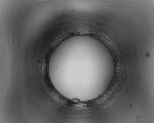 X0000100850760200806200802