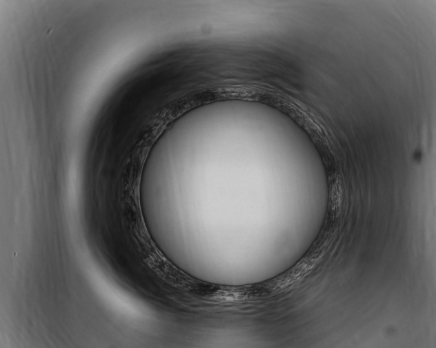 X0000100850764200806200802