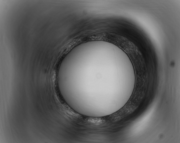 X0000100850767200806200802
