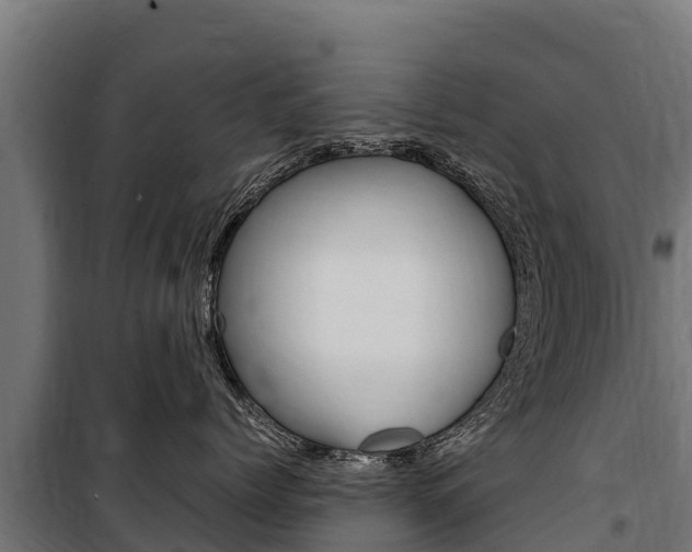 X0000100850768200806200802