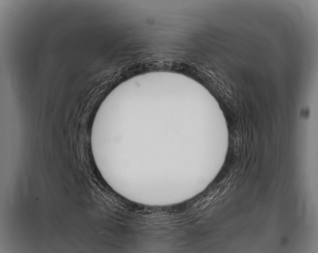 X0000100850769200806200801