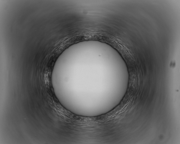 X0000100850770200806200801
