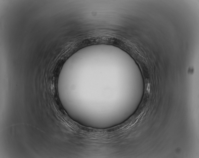 X0000100850771200806200801
