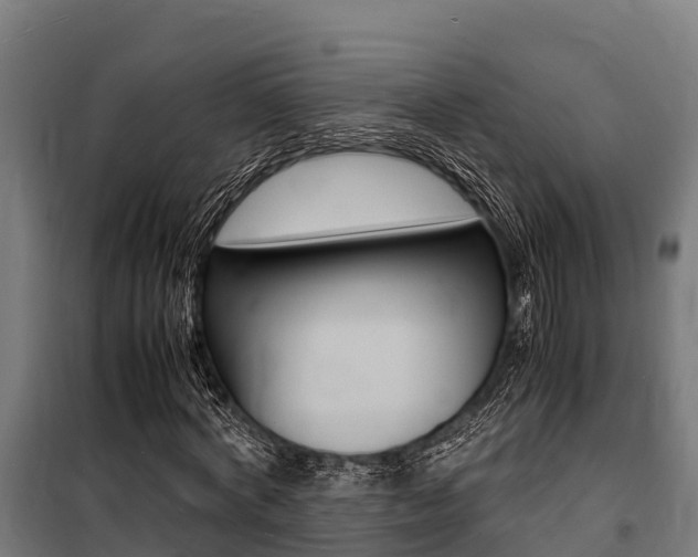 X0000100850772200806200801