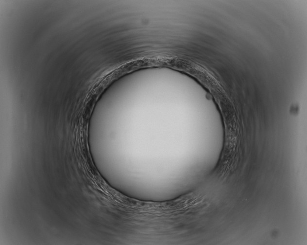 X0000100850773200806200801