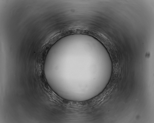 X0000100850774200806200801