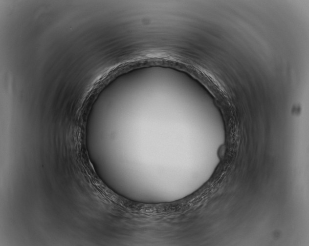 X0000100850776200806200801