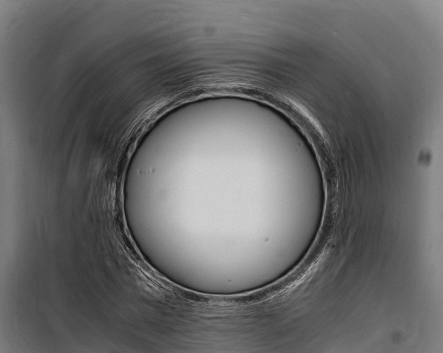 X0000100850777200806200801