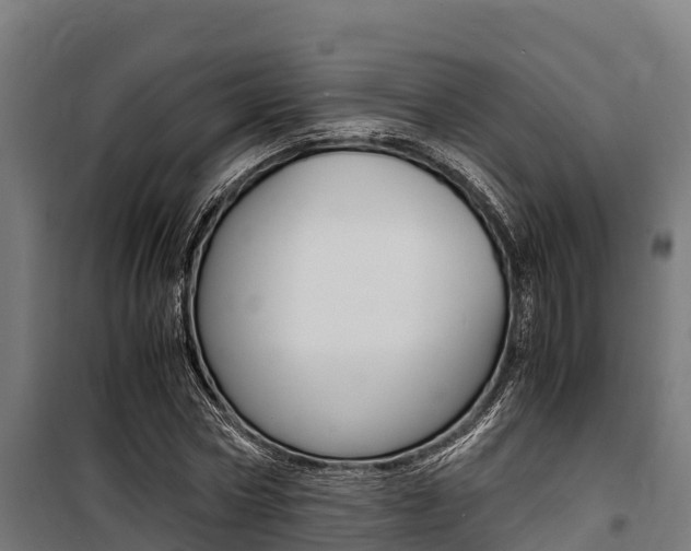 X0000100850778200806200801