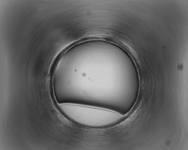 X0000100850779200806200801