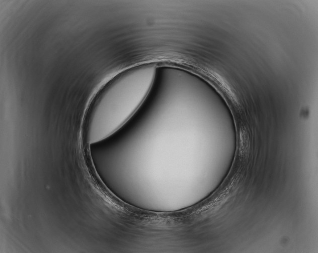 X0000100850780200806200801