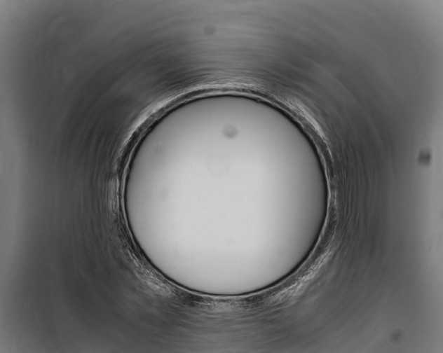 X0000100850781200806200801