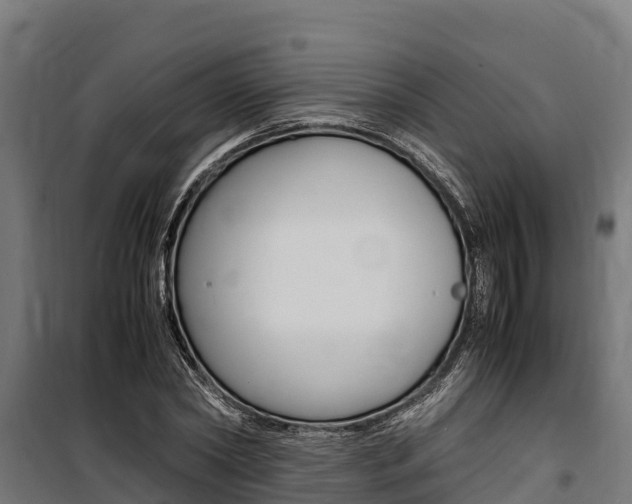 X0000100850782200806200801