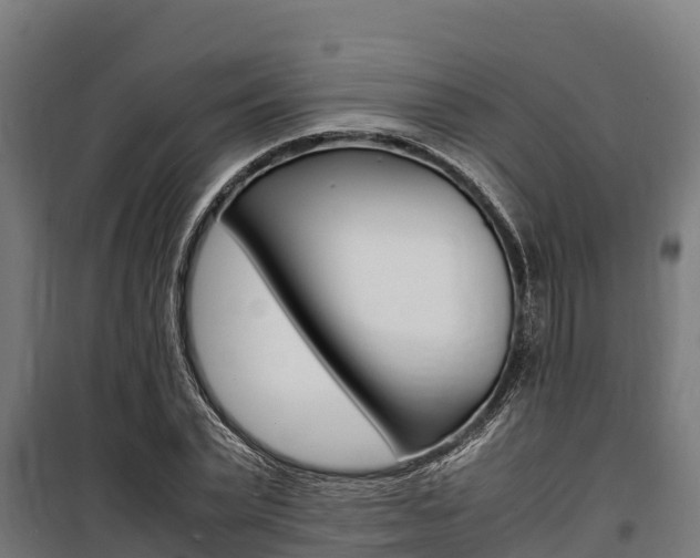 X0000100850783200806200801