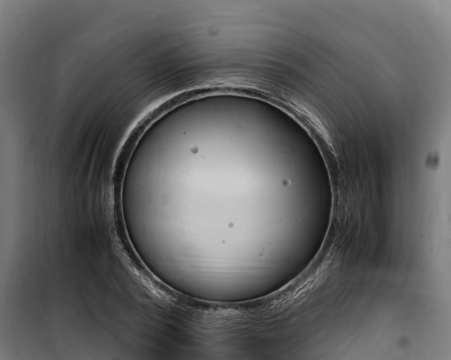 X0000100850784200806200801