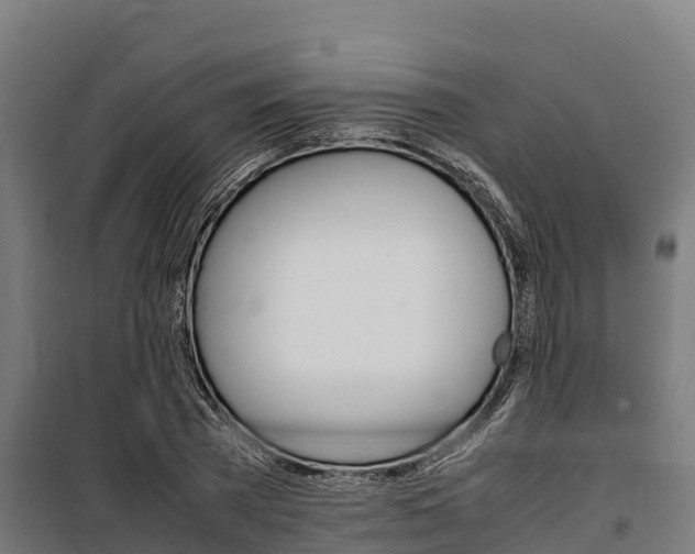 X0000100850785200806200801