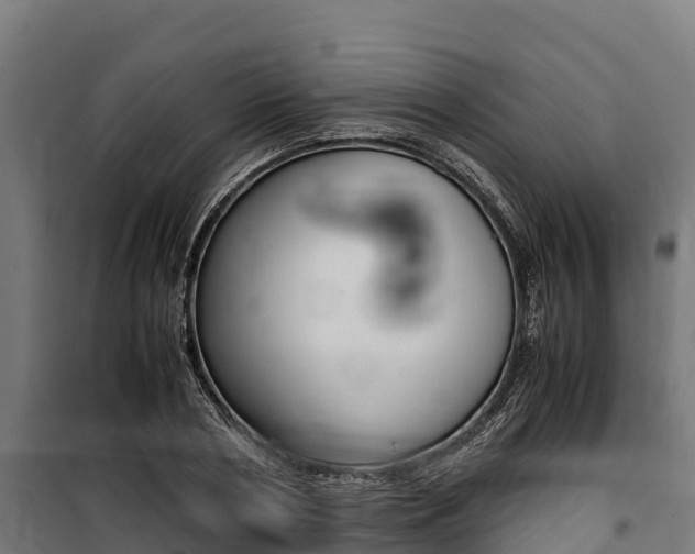 X0000100850786200806200801
