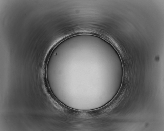 X0000100850787200806200801