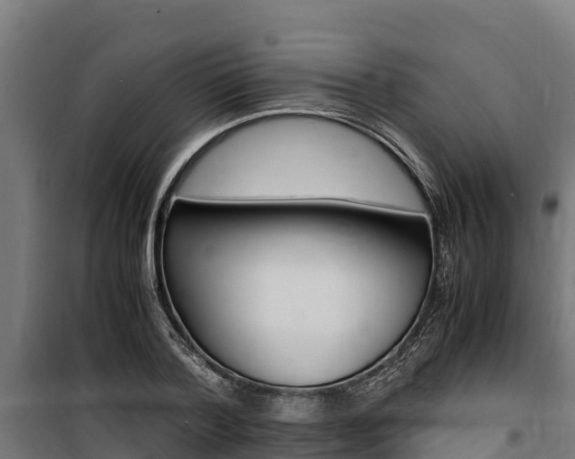 X0000100850788200806200801