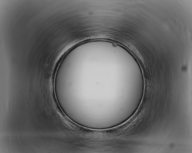 X0000100850789200806200801