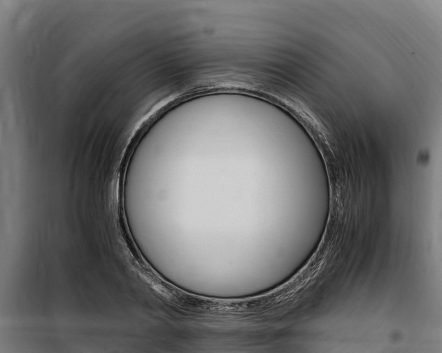 X0000100850790200806200801