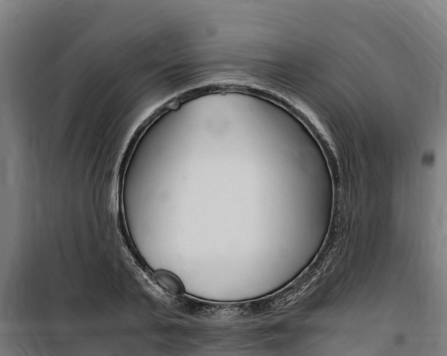 X0000100850791200806200801