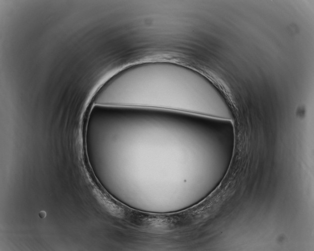 X0000100850792200806200801