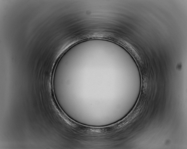 X0000100850794200806200801