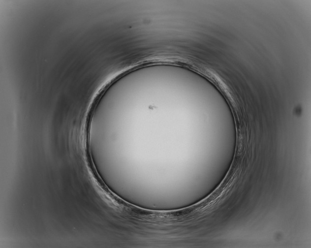 X0000100850795200806200801