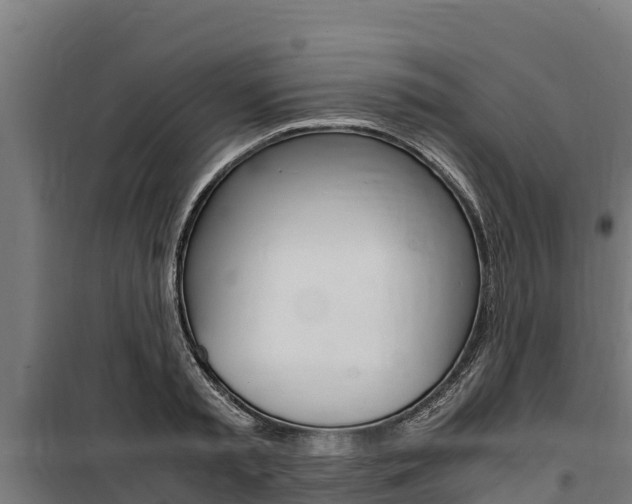 X0000100850797200806200801