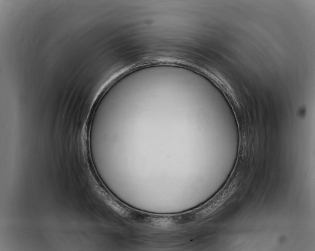 X0000100850798200806200801