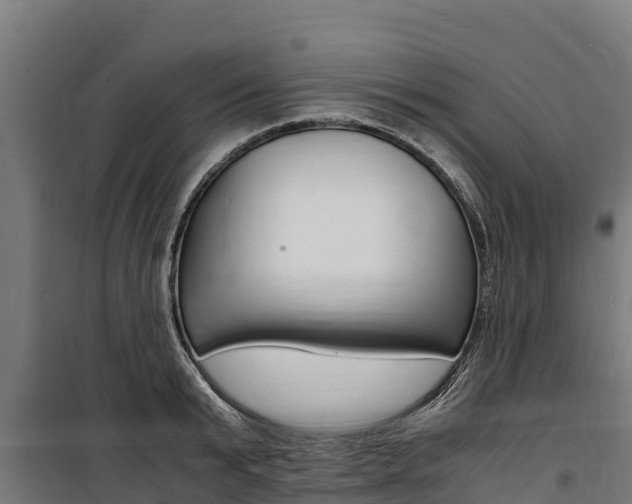 X0000100850799200806200801