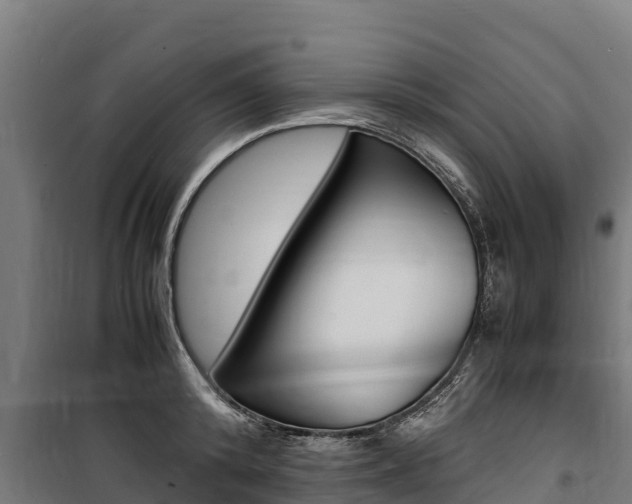 X0000100850800200806200801