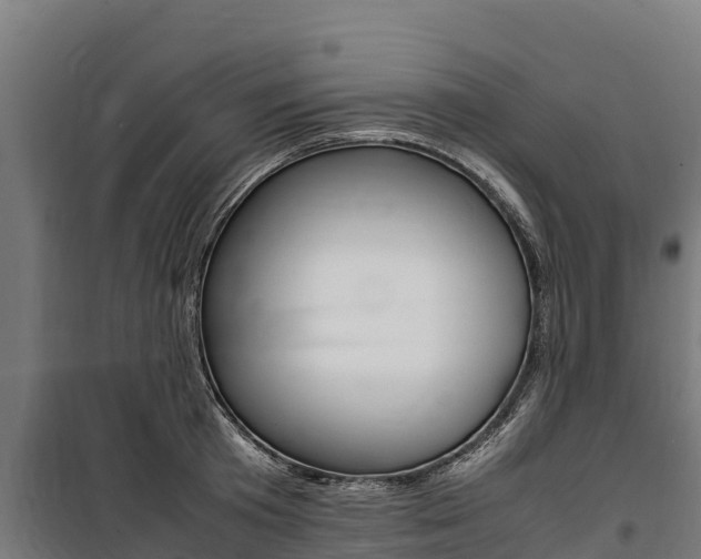 X0000100850801200806200801