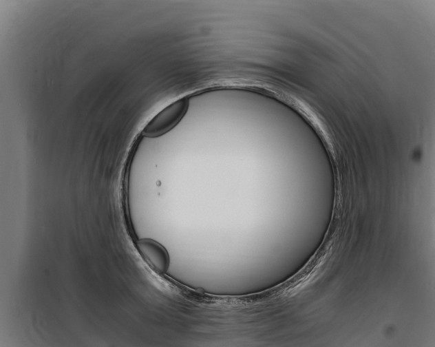 X0000100850803200806200801