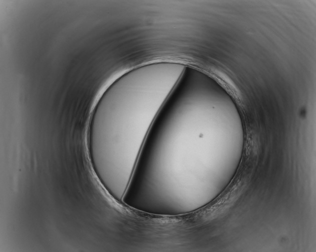 X0000100850804200806200801