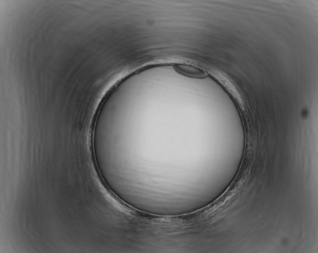X0000100850805200806200801