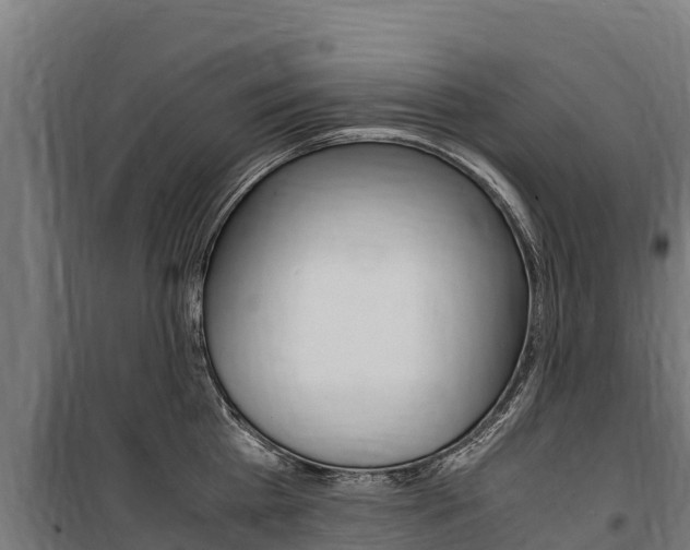 X0000100850809200806200801