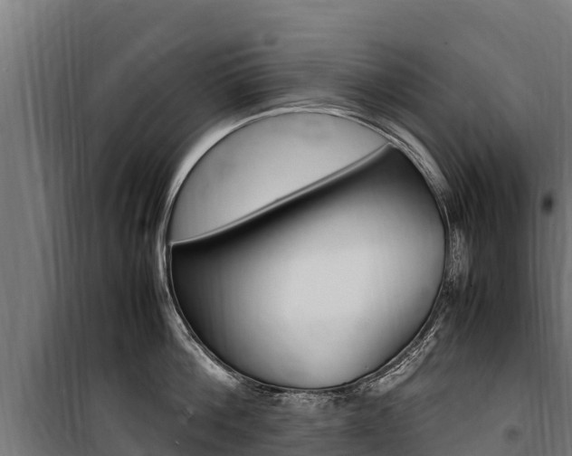 X0000100850812200806200800