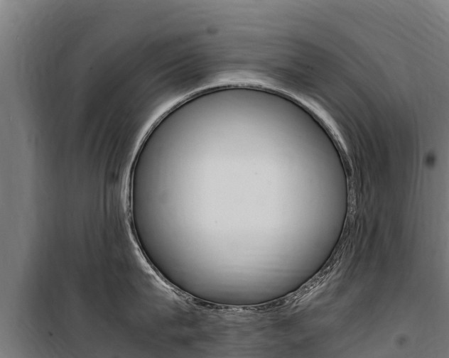 X0000100850815200806200800