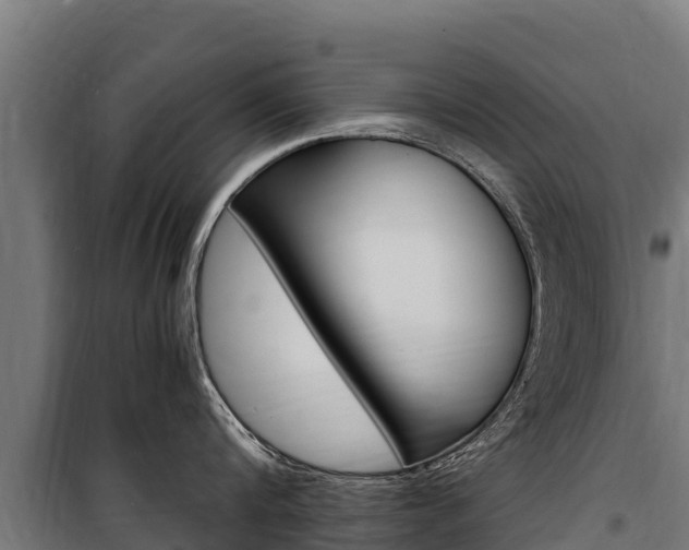 X0000100850816200806200800