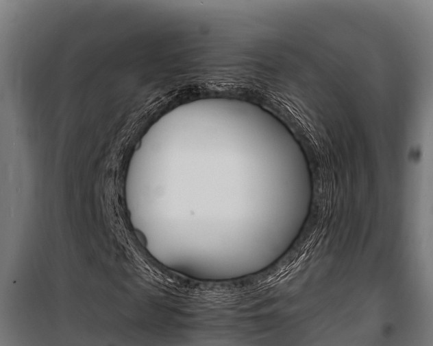 X0000100850817200806200800