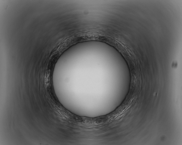 X0000100850818200806200800