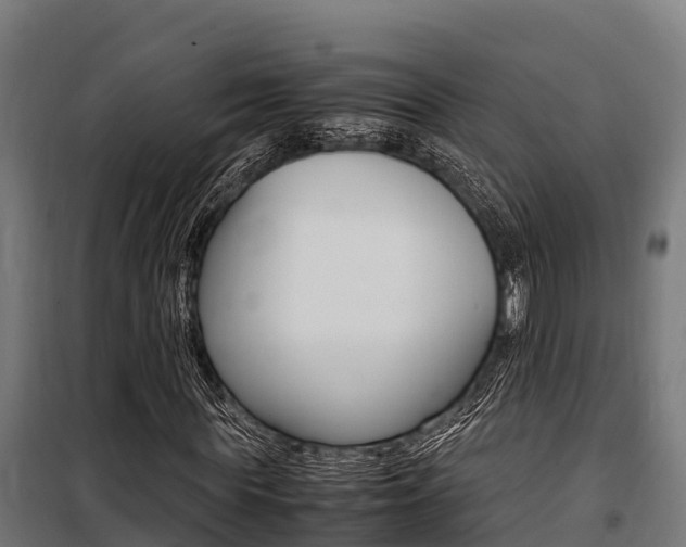 X0000100850819200806200800