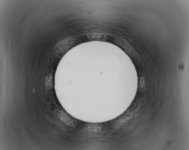 X0000100850820200806200800